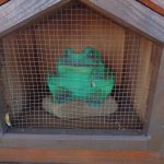 phoca_thumb_m_za abikou 19 Fotogalerie